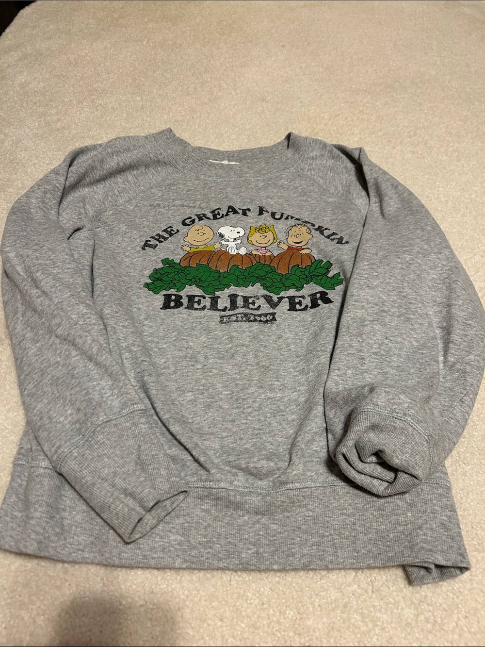 Peanuts The Great Pumpkin Believer Gray Kids Crewneck Sweatshirt